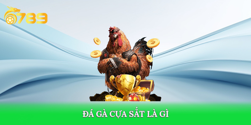 Đá gà cựa sắt là gì mà hấp dẫn vậy