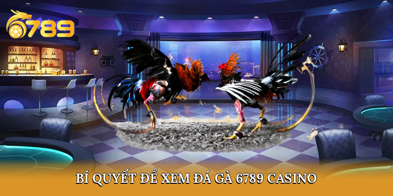Bí quyết để xem đá gà 6789 casino