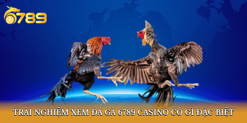 Trải nghiệm xem đá gà 6789 casino có gì đặc biệt?